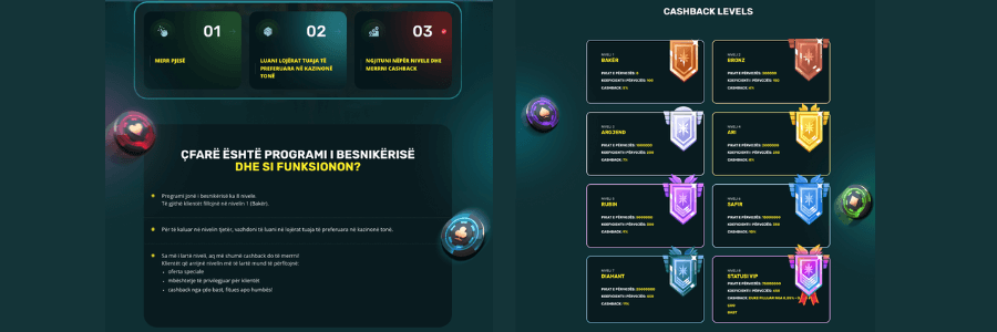 programi VIP, programi i besnikerise